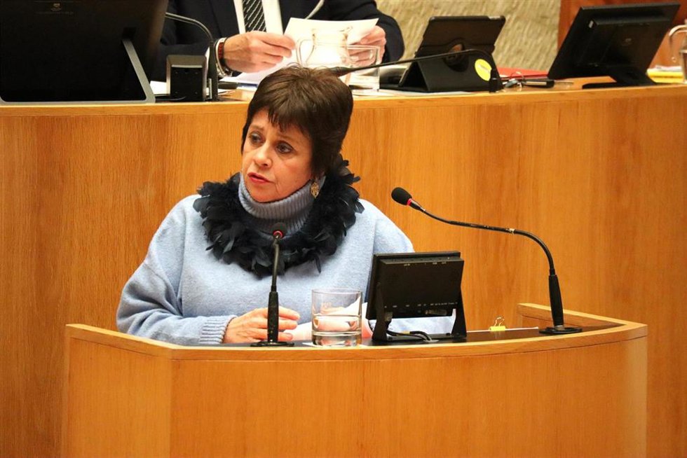 La diputada de IU, Henar Moreno