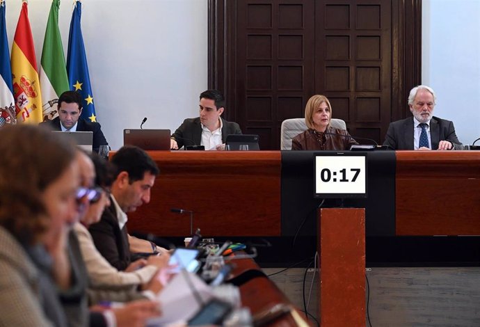 La alcaldesa de Jerez, María José García-Pelayo, preside el pleno municipal en el Ayuntamiento.
