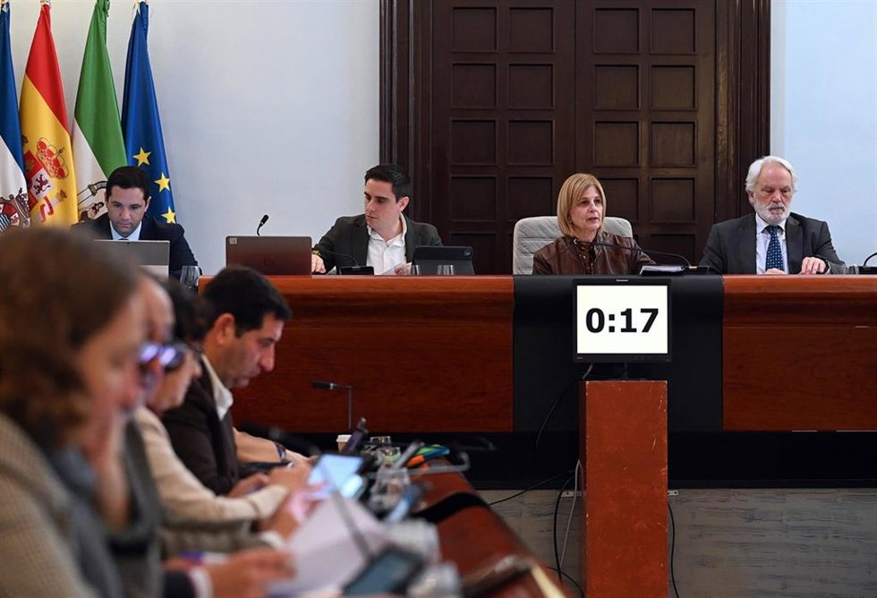 La alcaldesa de Jerez, María José García-Pelayo, preside el pleno municipal en el Ayuntamiento.