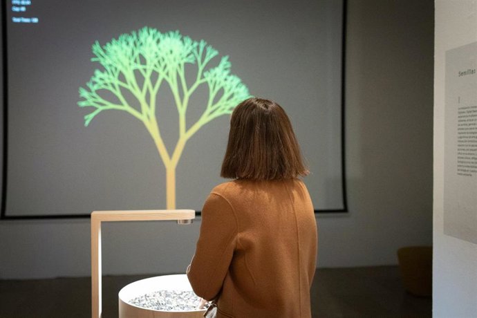 Hugo Martínez-Tormo promueve la reforestación del bosque valenciano con una muestra interactiva en el CCCC