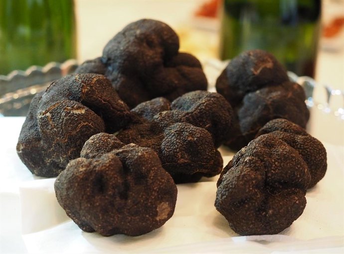 Trufa negra.
