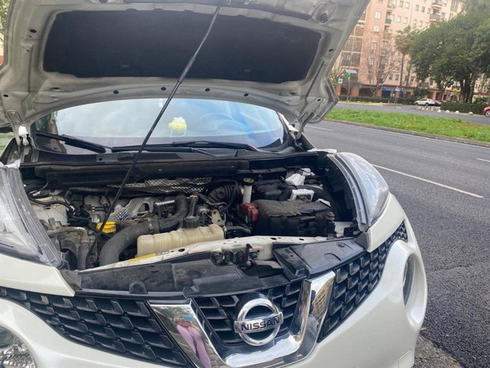 Un coche afectado por las ratas en el Distrito Este-Alcosa-Torreblanca.