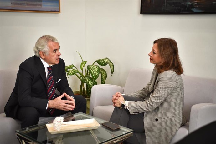 La delegada del Gobierno andaluz en Málaga, Patricia Navarro, ha mantenido este jueves una reunión de trabajo con el recién reelegido presidente del Colegio de Médicos de Málaga, Pedro Navarro.