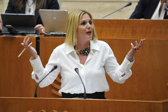 La consejera de Hacienda y Administración Pública, Elena Manzano, durante el debate de convalidación del decreto ley de medidas fiscales.