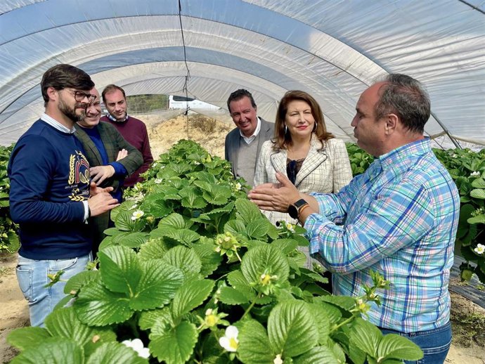 Visita de la eurodiputada y portavoz de Agricultura del Partido Popular europeo, Carmen Crespo, a la finca agrícola La Rehoya, en Rociana del Condado (Huelva).