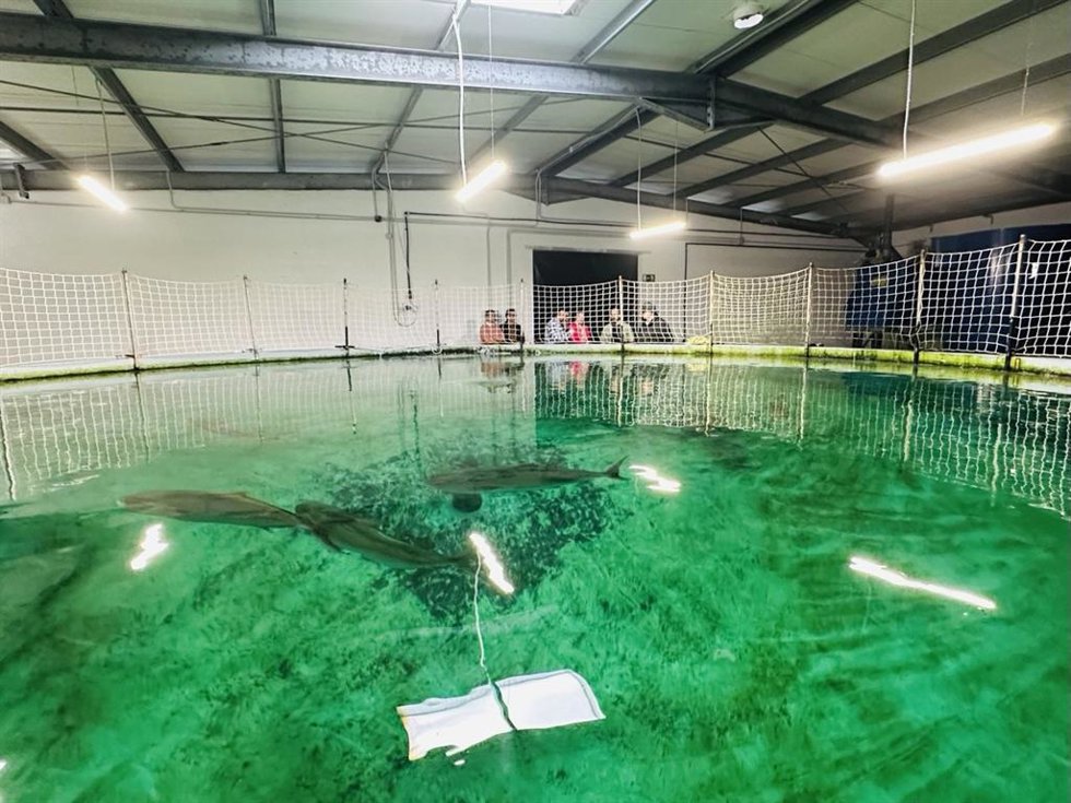 Nnave de engorde de seriola en El Puerto