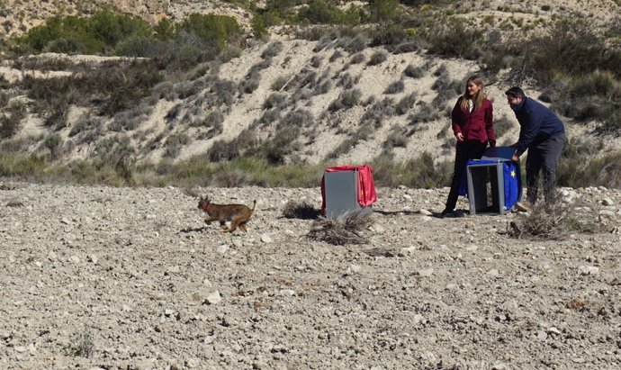Aagesen insiste en que las empresas pactaron el cierre nuclear: "Ahora tendremos que ver qué es lo que proponen".