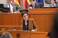 Decaen las iniciativas de PP, PSOE y CHA por la igualdad de género