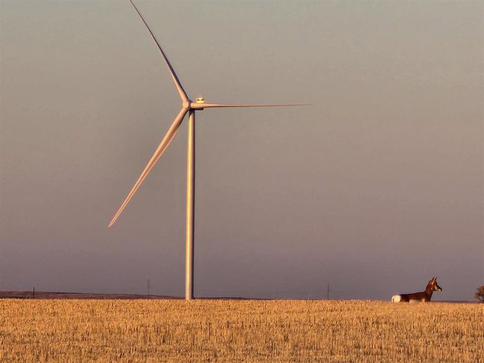 Parque eólico Forty Mile de Acciona