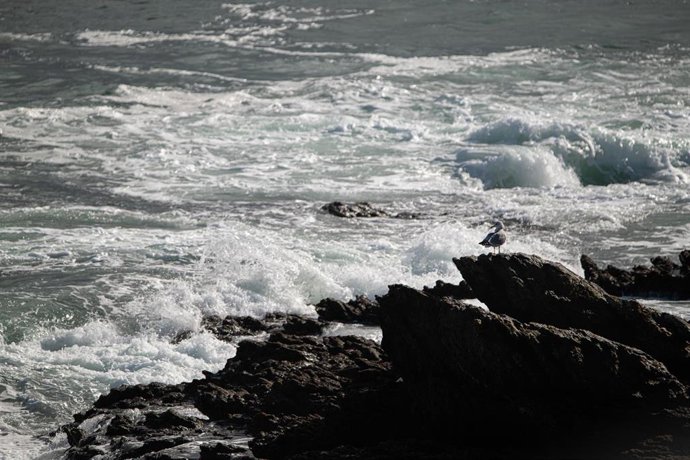 Archivo - Oleaje durante el paso de la borrasca Ciarán, a 2 de noviembre de 2023, en Sanxenxo, Pontevedra, Galicia (España). 