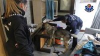 Detenidas cuatro personas e investigadas otras dos en Bizkaia por pertenecer a una banda dedicada al robo en viviendas