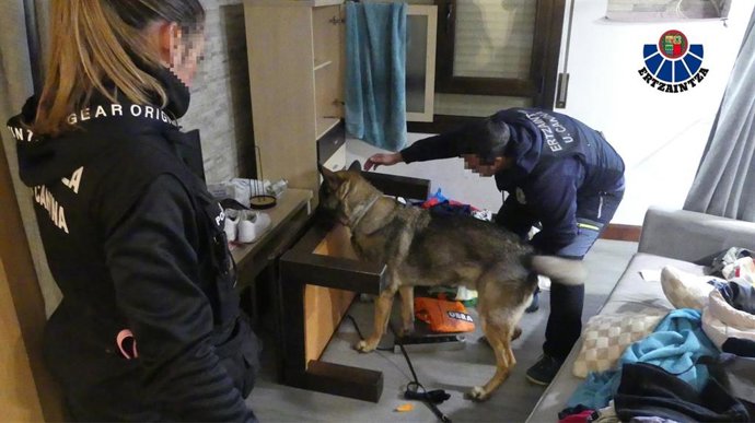 Registro en la operación Jauzilari de la Ertzaintza.