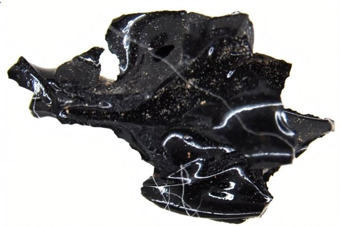 Os cientistas descobriram redes de neurônios preservadas no cérebro de vidro de um romano antigo.