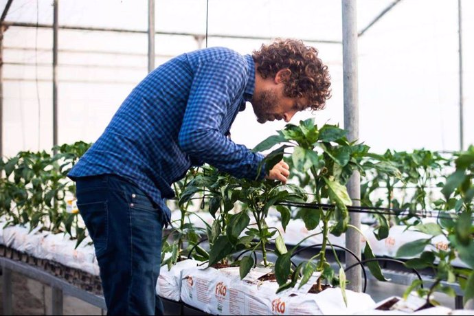 Entrevista a Francisco Martín, director técnico de Nostoc Biotech, sobre el futuro de los biofertilizantes