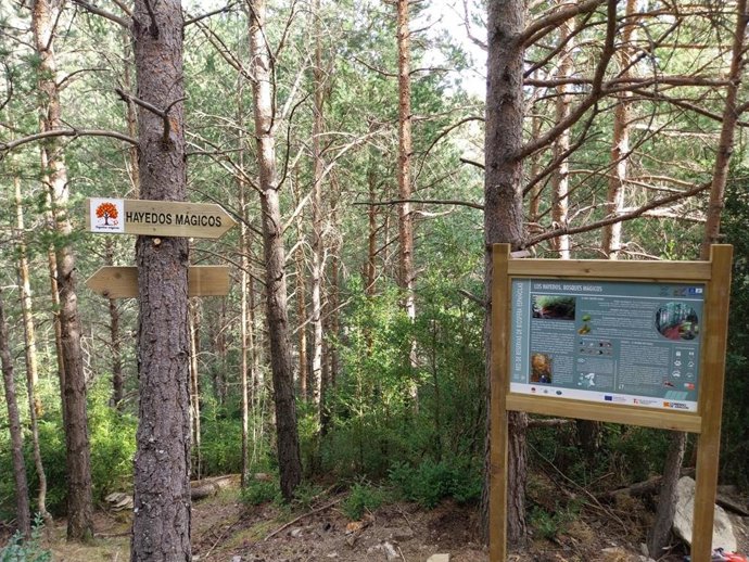 Señalización de los Hayedos Mágicos en el valle de Puértolas (Huesca)