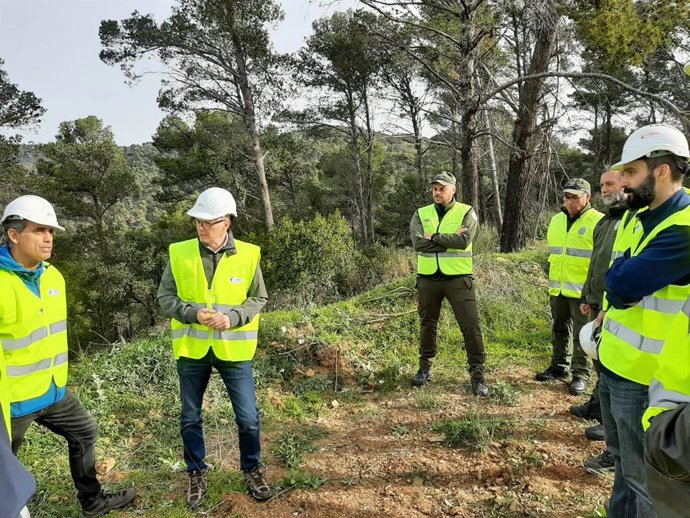 La Junta de Andalucía, con una inversión de 2.551.541 euros, acometerá un total de 81 actuaciones que ya se han abordado en una decena de municipios "para paliar los efectos causados por un posible incendio