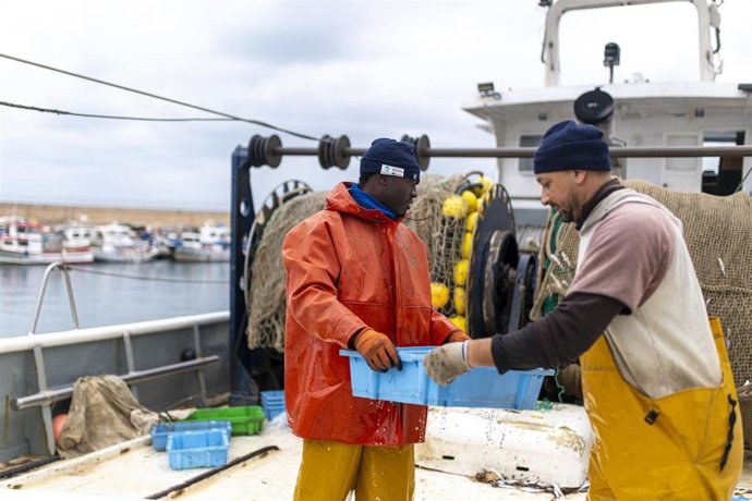 Archivo - Varias personas trabajan en el Puerto de Arenys, a 11 de diciembre de 2024, en Arenys de Mar, Barcelona, Catalunya (España). 
