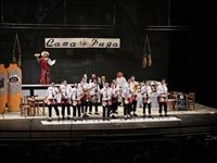 'Casa Puga', 'Este año salimos por los pelos' y 'Los escapistas', ganadores del Carnaval de Almería 2025