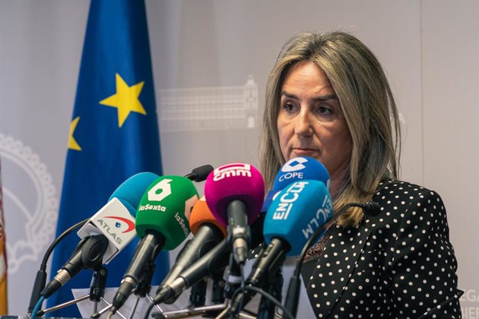 Archivo - La delegada del Gobierno en Castilla-La Mancha, Milagros Tolón.