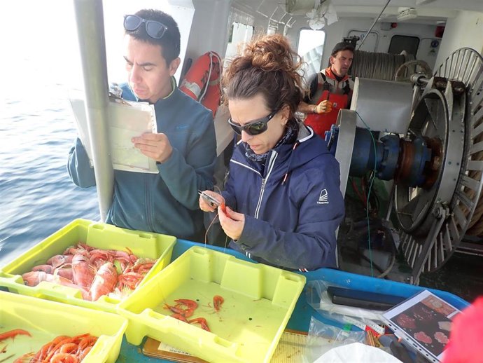 Científicos en un pesquero.