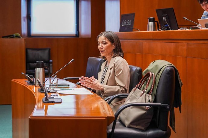 La interventora general Ana Gómez, este lunes en las Cortes