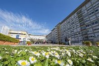 El Papa pide promover un "multilateralismo estable" en un mundo de "policrisis"