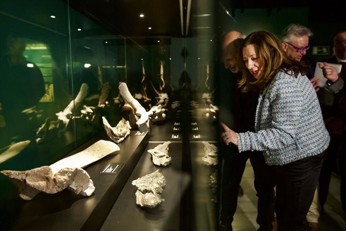 La consejera de Desarrollo Educativo y Formación Profesional de la Junta de Andalucía, Carmen Castillo, ha inaugurado la nueva exposición temporal 'Cazadores de dragones' en el Parque de las Ciencias.