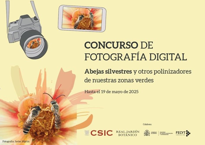 Concurso de fotografía digital ' Abejas silvestres y otros polinizadores de nuestras zonas verdes',