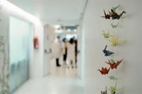 El Hospital Niño Jesús investiga con éxito medicamento para la obesidad infantil con base genética