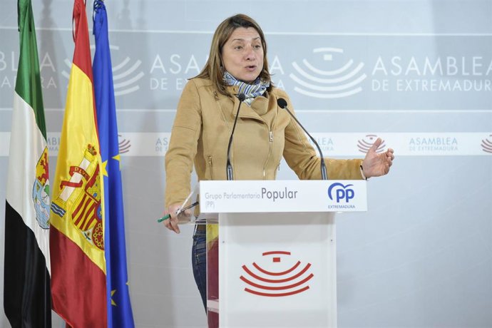 La portavoz adjunto del Grupo Parlamentario Popular en la Asamblea, Pilar Gómez de Tejada, en rueda de prensa