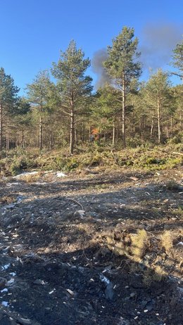 Incendio forestal (archivo)