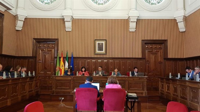 Pleno de la Diputación.