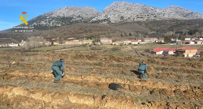 Agentes de la Guardia Civil comprueban los efectos de los trabajos agrícolas sobre el campamento romano de Santibáñez de la Peña.