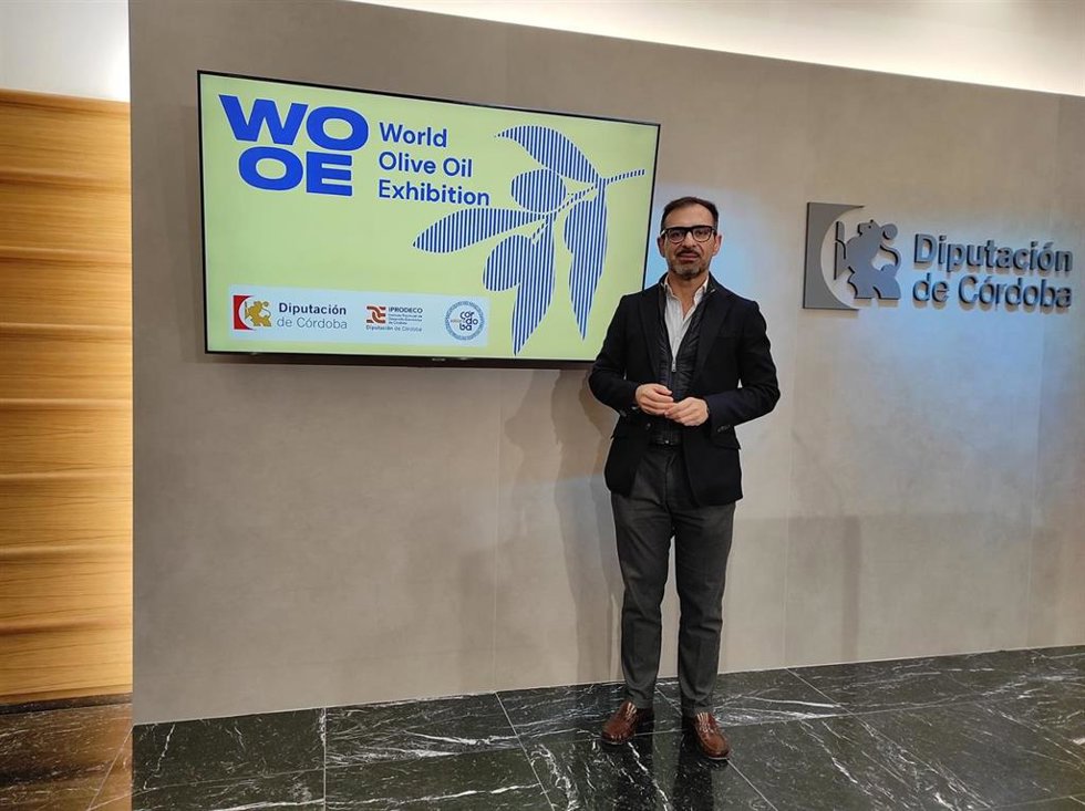 El delegado de Desarrollo Económico, Promoción y Empleo de la Diputación, Félix Romero.