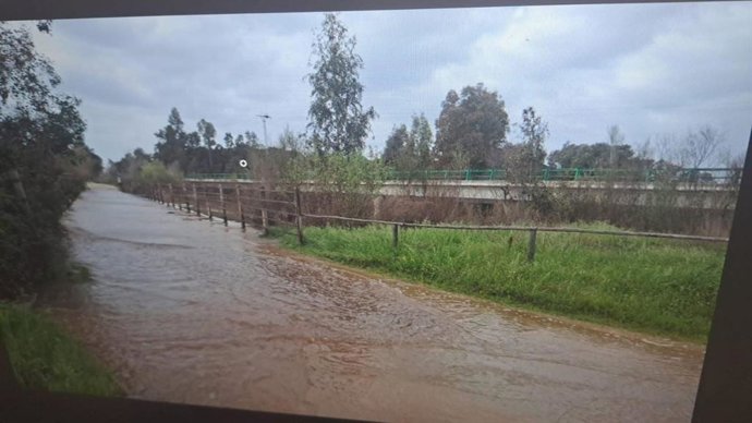 El Rocío (Almonte, Huelva).