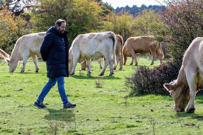 El presidente del PP de Castilla-La Mancha, Paco Núñez, durante una visita a una explotación ganadera.