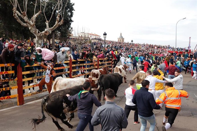 Archivo - Varias personas corren delante de los toros en un encierro en la Plaza Mayor de Ciudad Rodrigo, a 26 de febrero de 2022, en Salamanca, España.