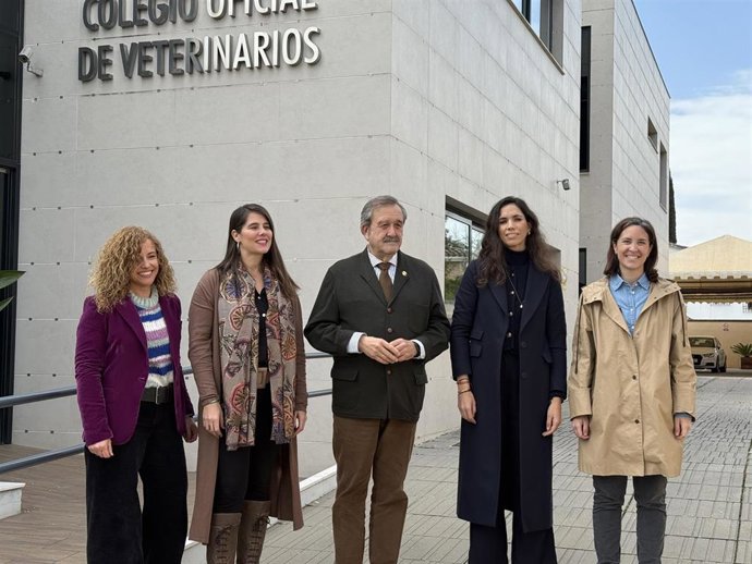 La secretaria general del PP de Córdoba, Araceli Cabello, junto a las senadoras Lorena Guerra y Cristina Casanueva, tras la reunión con el Colegio Oficial de Veterinarios de Córdoba para escuchar sus reivindicaciones.
