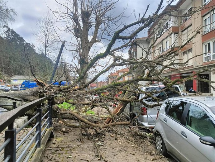 Arboles caídos sobre dos vehículos en Cabezón de la Sal