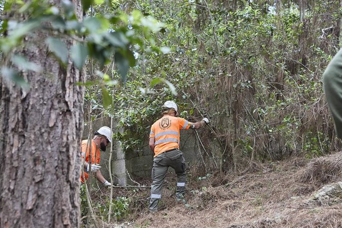 Archivo - Operarios del Cabildo de Tenerife en una zona de medianías de la isla