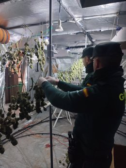 Agentes de la Guardia Civil en la plantación indoor intervenida en Cartaya (Huelva).