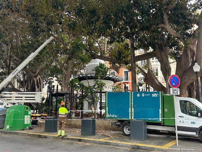 Trabajos de supervisión de seguridad de operarios de Parques y Jardines este miércoles en el Portal de Elche.