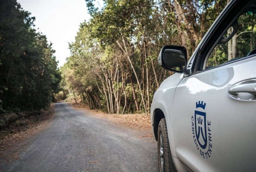 Pista forestal en Tenerife