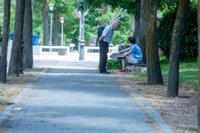 CERMI aplaude las mejoras en las becas para universitarios con discapacidad y estudiantes de Enseñanzas Artísticas