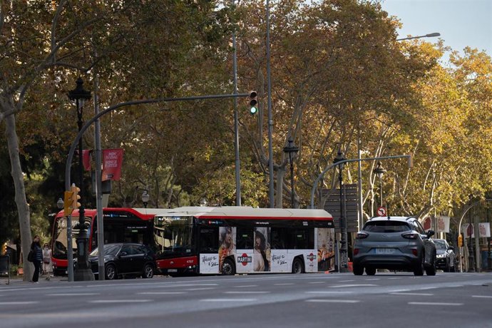 Archivo - Un autobús