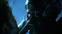 ¿Un depredador escondido en el nuevo tráiler de Alien: Planeta Tierra?