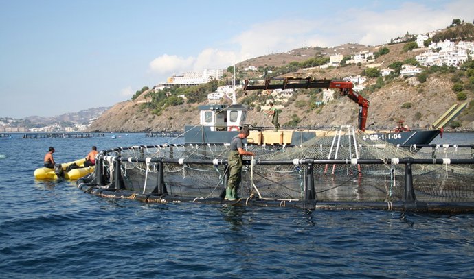 Pescadores andaluces