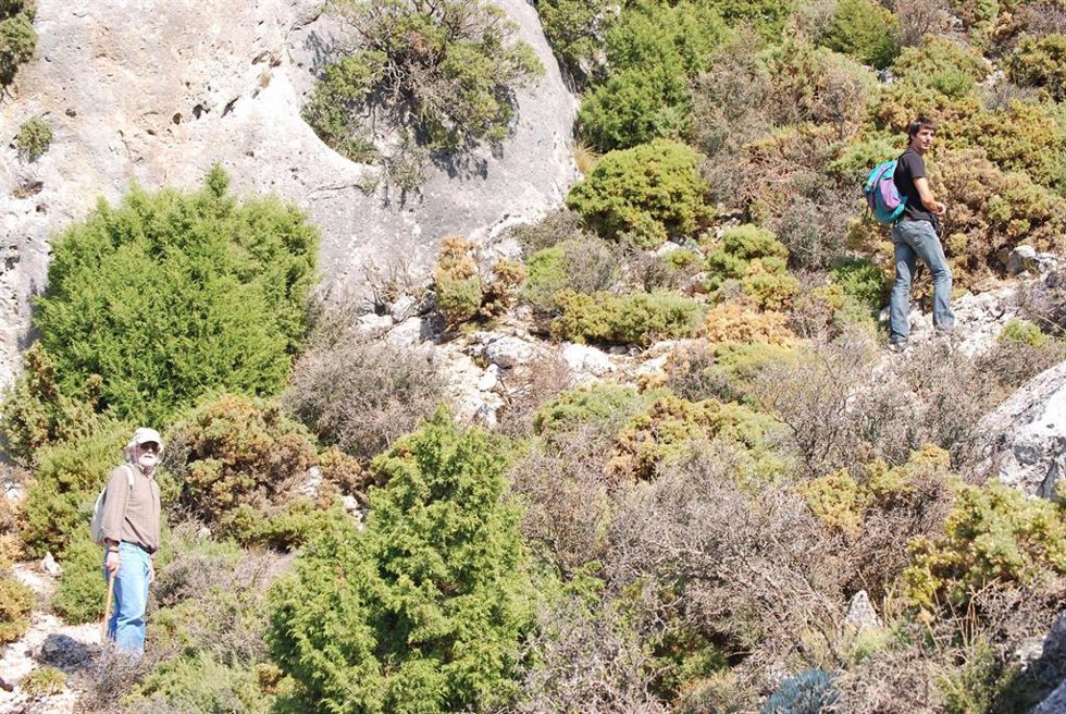 Científicos de la UMA identifican y clasifican ecosistemas del Parque Nacional Sierra de las Nieves
