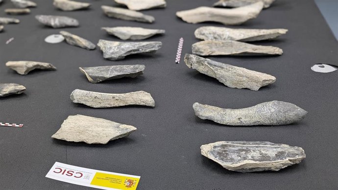 Herramientas de hueso