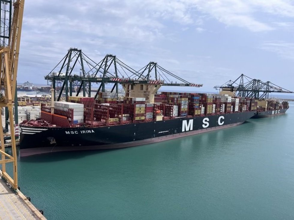 Imagen del Puerto de Valncia